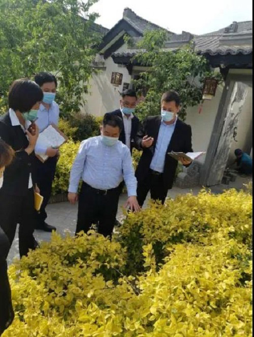 巅峰国际官网集团